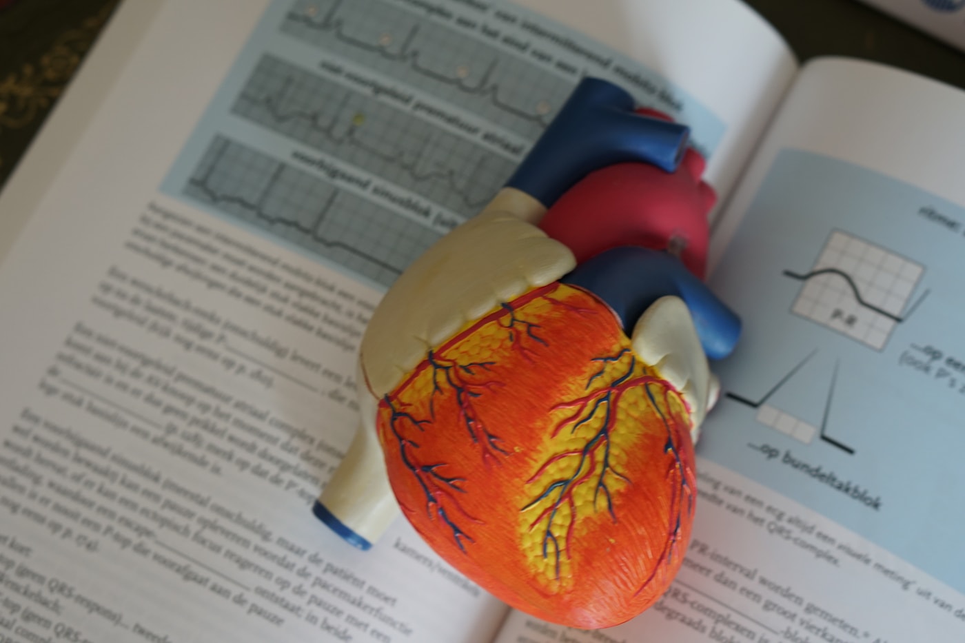 coração anatomico sobre livro de cardiologia